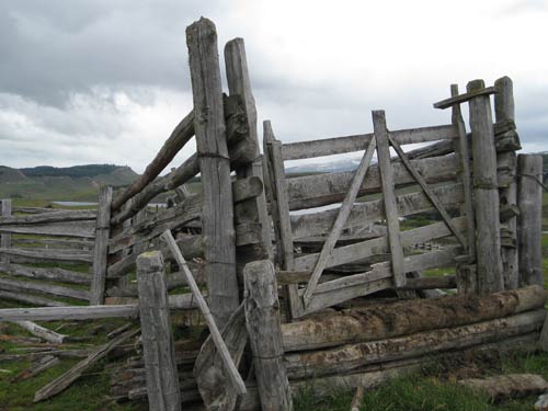 Sheep pens Patagonia