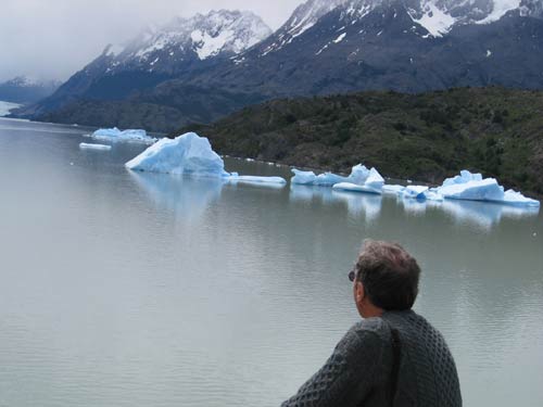 Iceberg on lake in Torres del Paine Patagonia