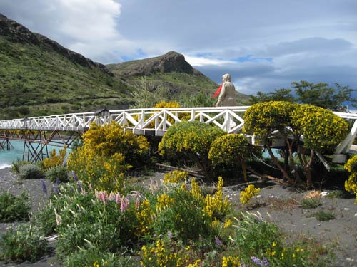 Bridge over floral in Torres del Paine