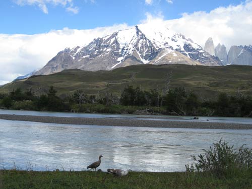 Mountains in Torre del Paine