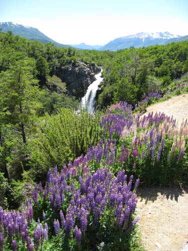 road from Villa Angostura to San Martin de los Andes