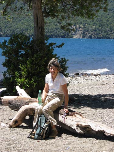 road from Villa Angostura to San Martin de los Andes