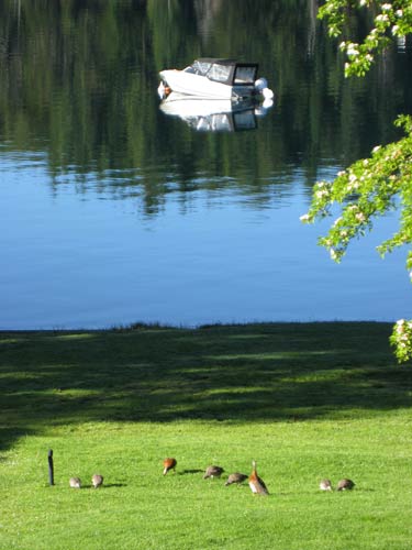 View from our bedroom at Villa Angostura